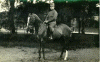 Oom_Cor_Huzaar.gif (81415 bytes)